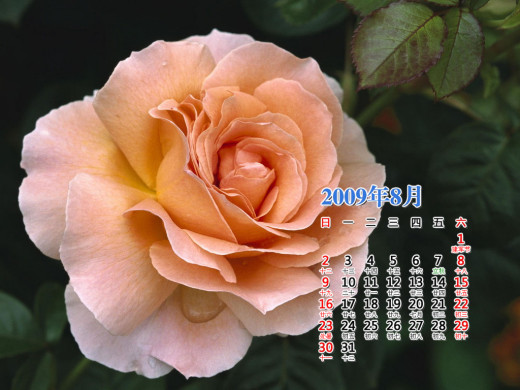 399159 (a): :1024x768